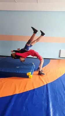 Вольная борьба