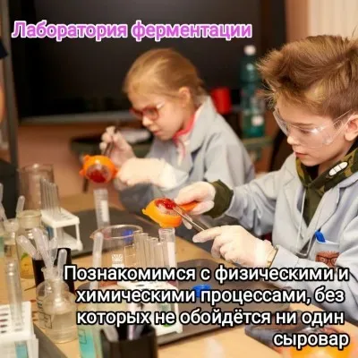 Научный квест "Химия еды"