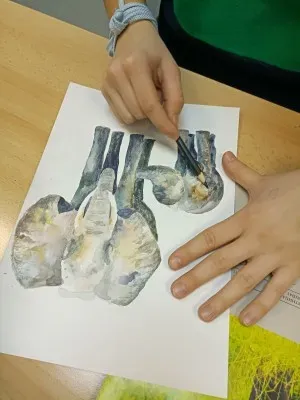 Студия ИНДИГО