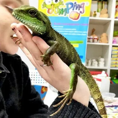 Лепка из полимерной глины