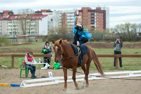 Вольтижировка