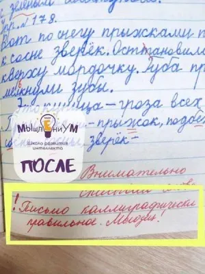 Чистописание, аккуратный почерк и грамотное письмо