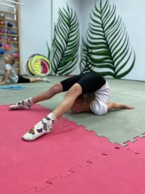 Художественная гимнастика
