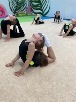 Художественная гимнастика