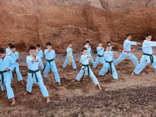 Карате-до шотокан