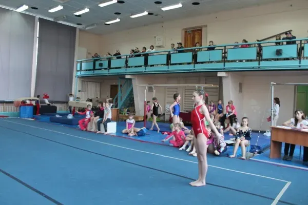 Спортивная гимнастика