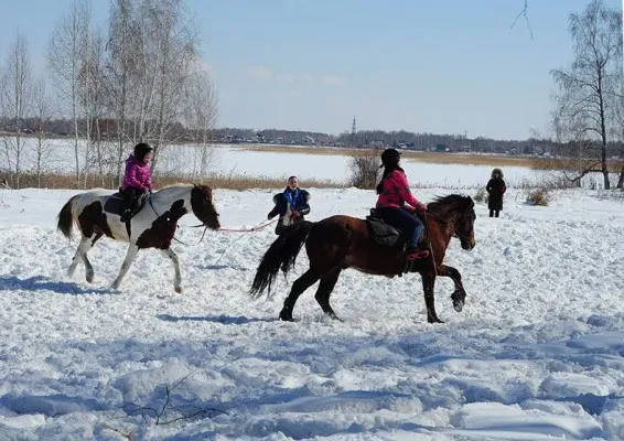 Верховая езда
