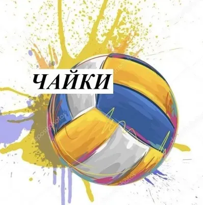 Детская волейбольная секция