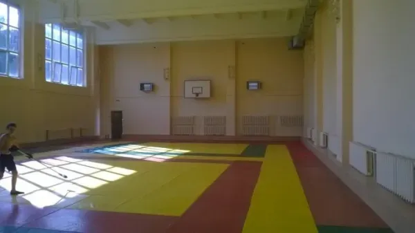 Занятие по дзюдо,самбо...