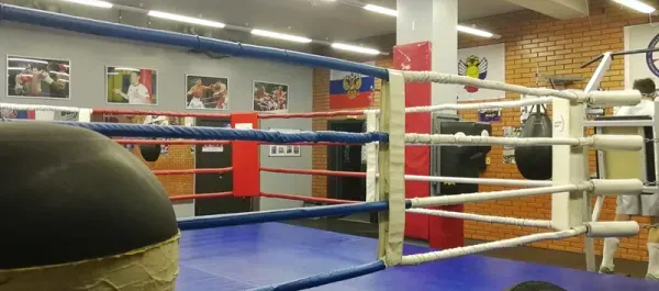 Групповые и персональные тренировки по боксу