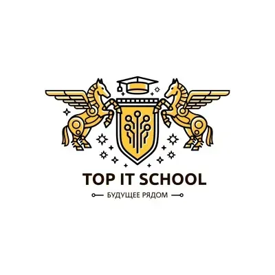 Частная школа TOP IT SCHOOL Липецк
