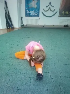 Кунг-фу Панда