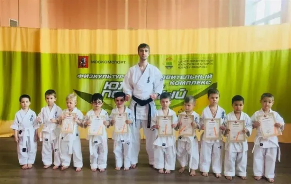 Карате киокушинкай