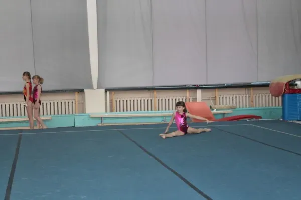 Спортивная гимнастика