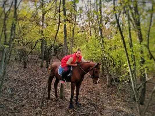 Обучение верховой езде