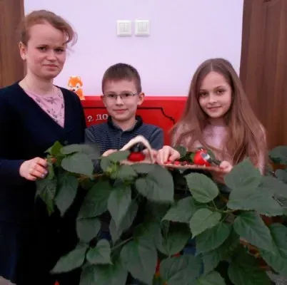 Солёное тесто