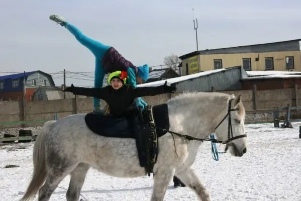 Вольтижировка