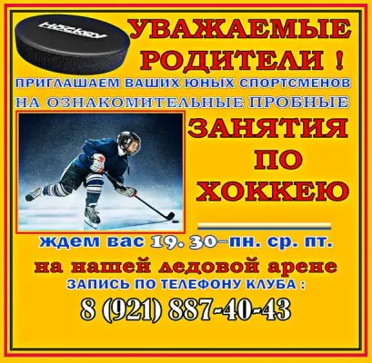 ДЕТСКО-ЮНОШЕСКИЙ ХОККЕЙНЫЙ КЛУБ " МАКСИМУМ"
