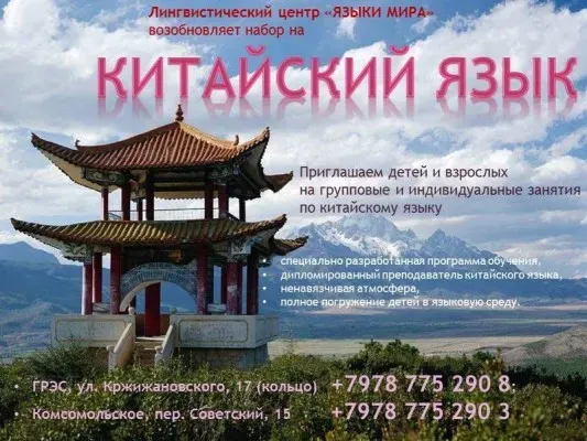 Китайский язык