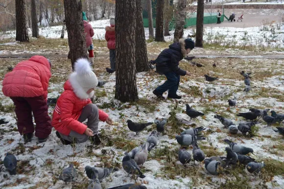 Группа продленного дня