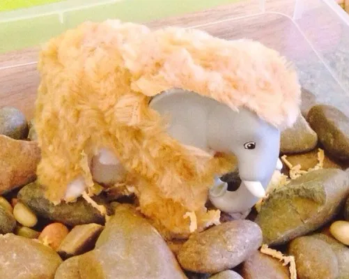 Развивающие занятия «Умница»