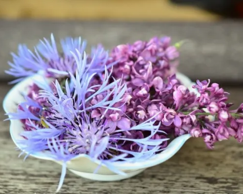 Аранжировка цветов и сухоцветов