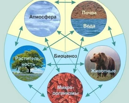Биология для детей 10-15 лет
