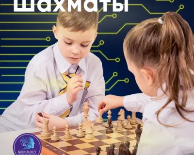 Шахматы