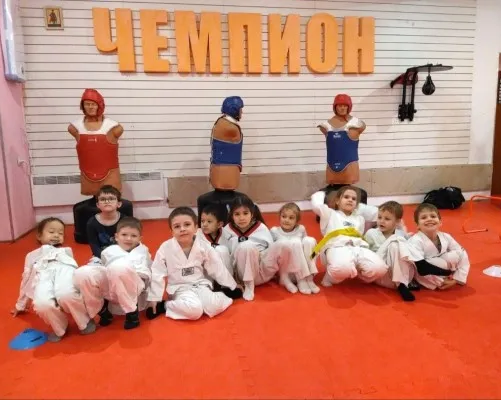 Секция тхэквондо ВТФ (СК Чемпион)