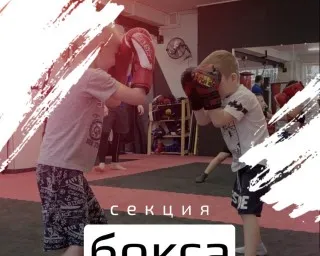 Набор детей и взрослых в секцию по боксу