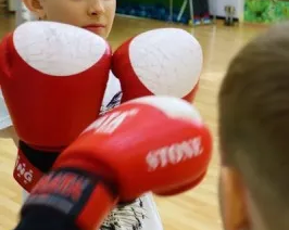 Интегральное ушу / кунг-фу