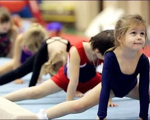 Эстетическая гимнастика