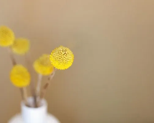 Цветочная фантазия