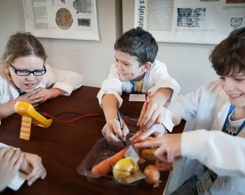 Курсы Робототехники для детей