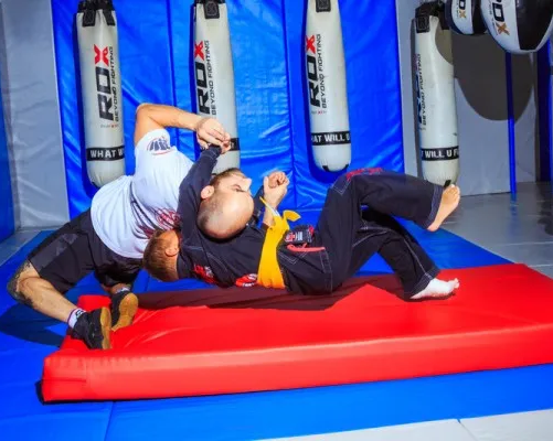 ММА, бокс, грэпплинг, BJJ, тайский бокс
