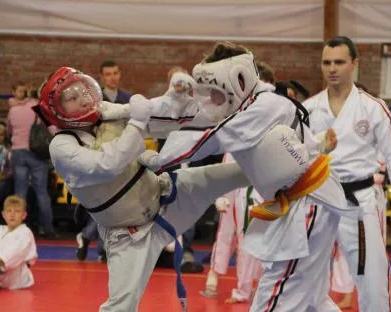 Косики карате