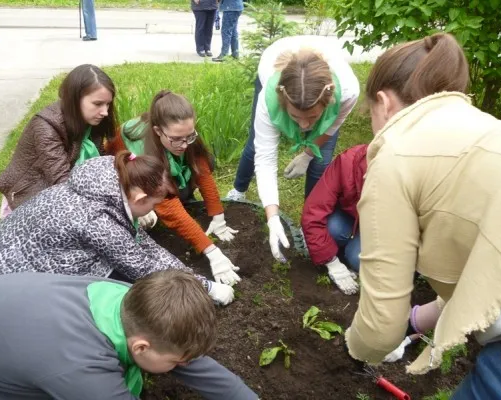 Радуга (экология)