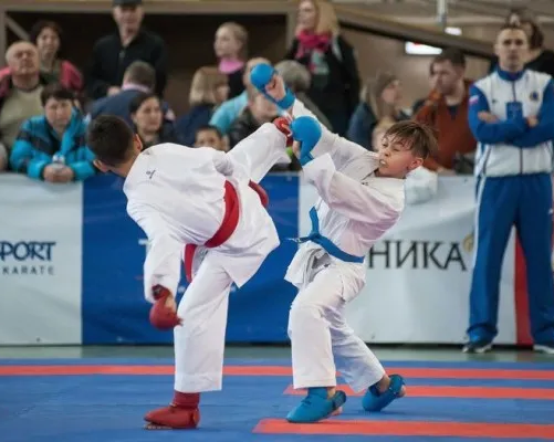 Школа олимпийского карате WKF