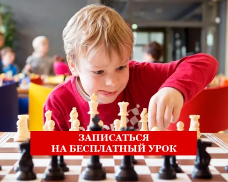 Шахматы