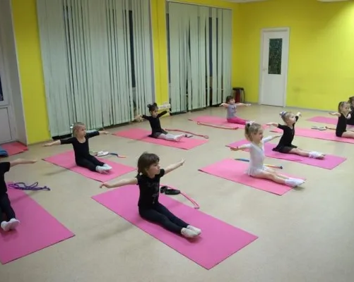 школа художественной гимнастики GymBalance