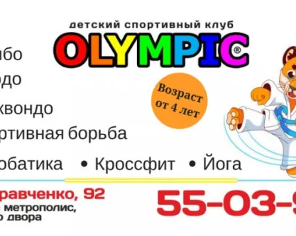 Секции акробатики и единоборств
