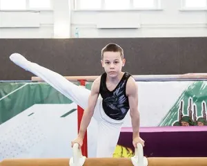 Школа Спортивной Гимнастики «Ополченец»