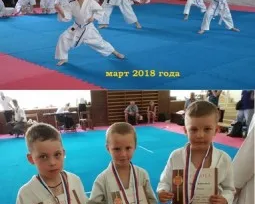 Шотокан каратэ и кобудо
