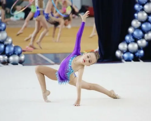 Всероссийская сеть ДСШ «FD» Царицыно, Кантемировская, Пролетарский