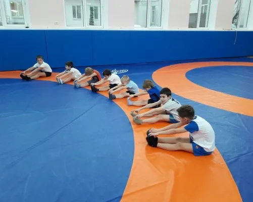 Вольная борьба