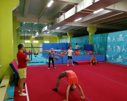 Академия гимнастики