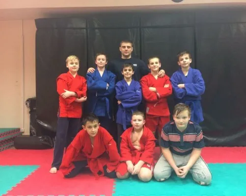 Смешанные единоборства (ММА)