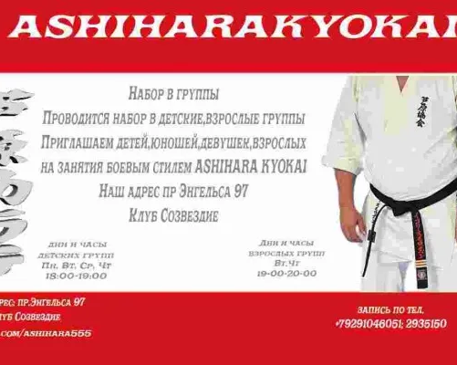 Ashihara karate