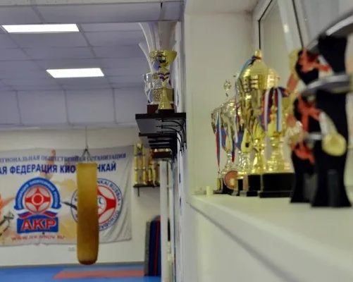 Кёкусинкай карате