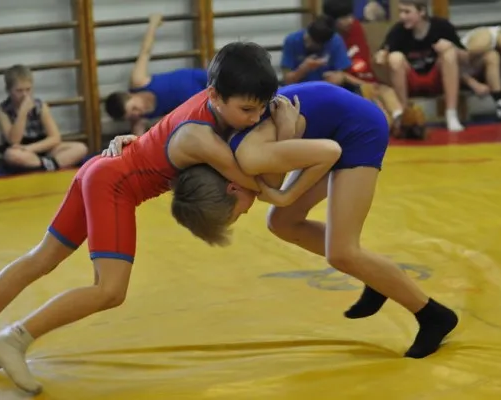 Вольная борьба